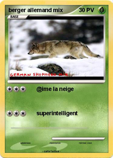 Pokemon berger allemand mix