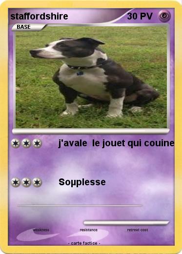 Pokemon staffordshire