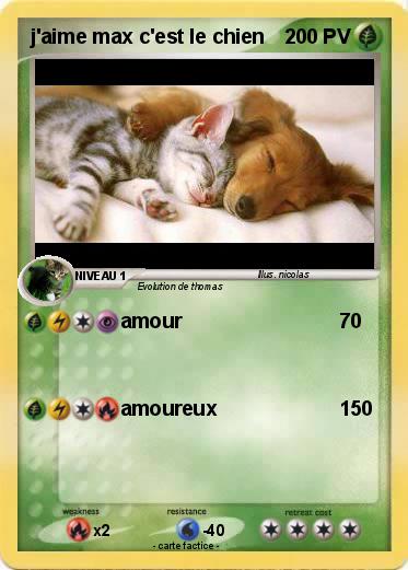 Pokemon j'aime max c'est le chien