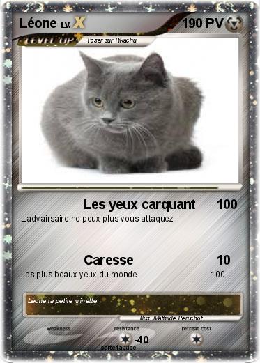 Pokemon Léone