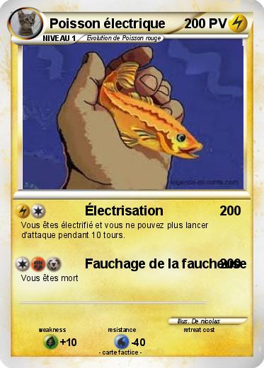 Pokemon Poisson électrique