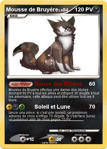 Pokemon Mousse de Bruyère