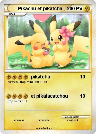 Pokemon Pikachu et pikatcha