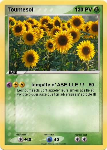 Pokemon Tournesol 