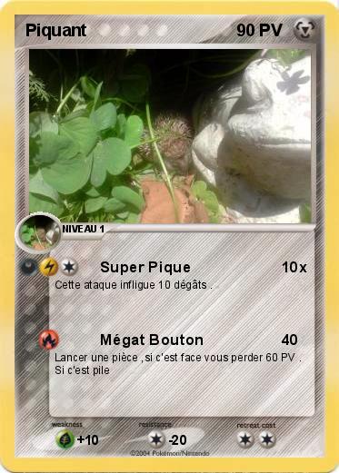 Pokemon Piquant