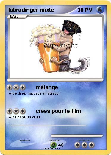 Pokemon labradinger mixte