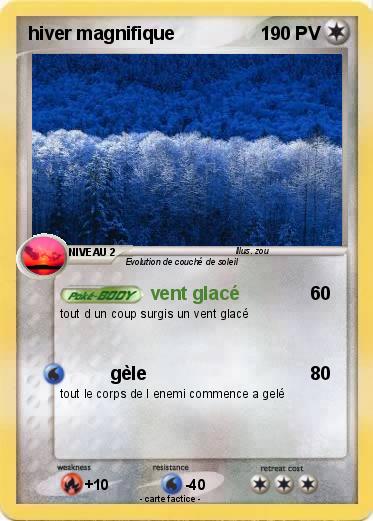 Pokemon hiver magnifique