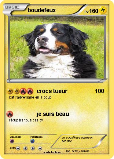 Pokemon boudefeux