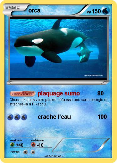 Pokemon orca