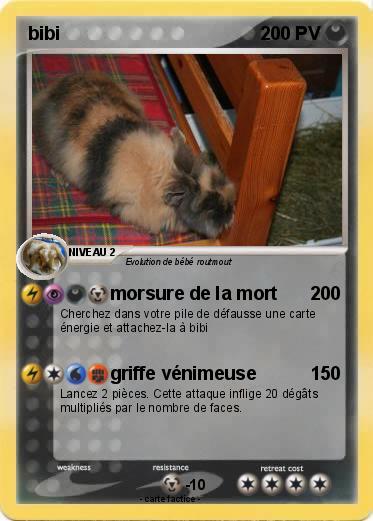 Pokemon bibi