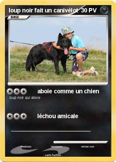 Pokemon loup noir fait un canivélot