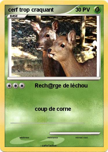 Pokemon cerf trop craquant