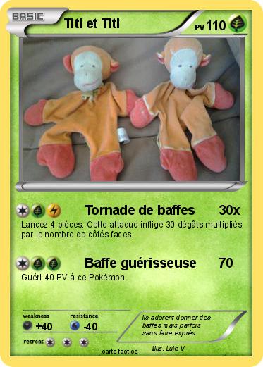 Pokemon Titi et Titi