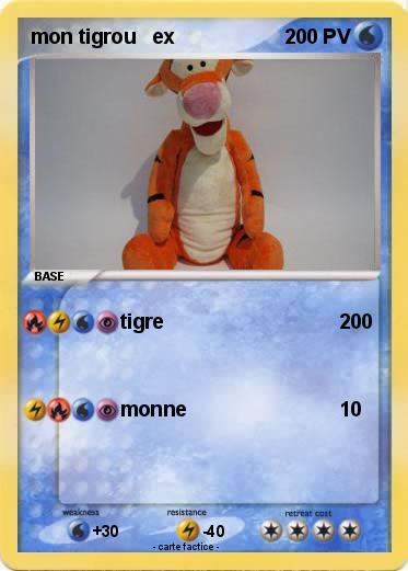 Pokemon mon tigrou   ex