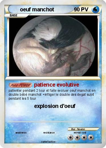 Pokemon oeuf manchot