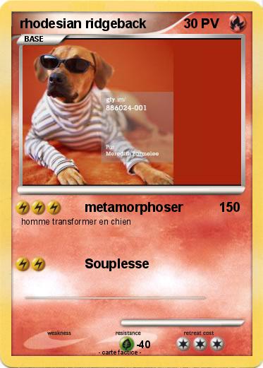Pokemon rhodesian ridgeback