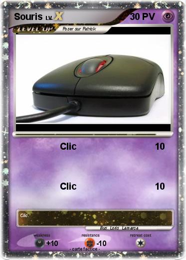 Pokemon Souris