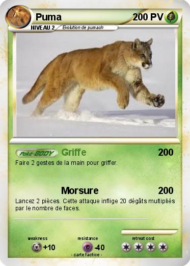 Pokemon Puma