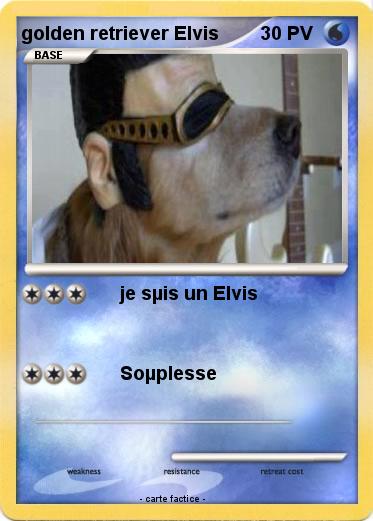 Pokemon golden retriever Elvis