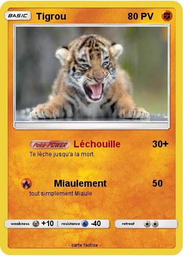 Pokemon Tigrou