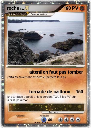 Pokemon roche