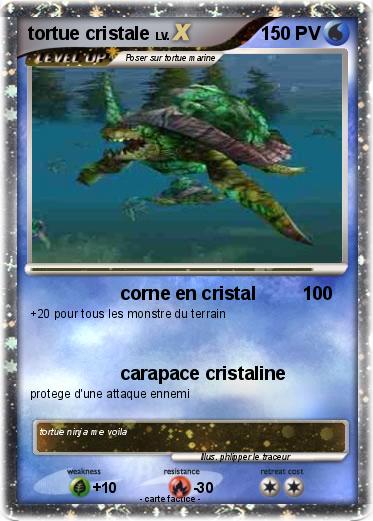 Pokemon tortue cristale