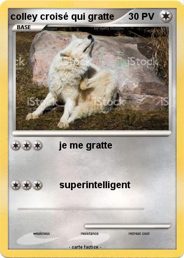 Pokemon colley croisé qui gratte
