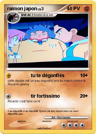 Pokemon raimon japon