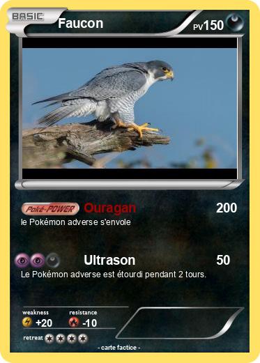 Pokemon Faucon