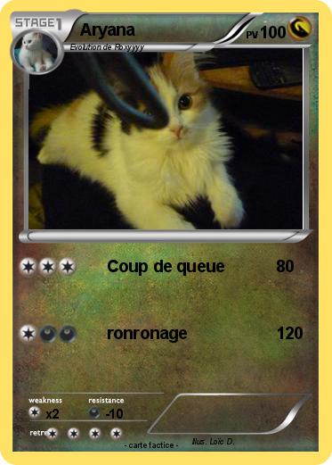 Pokemon Aryana