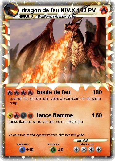 Pokemon dragon de feu NIV.X 1