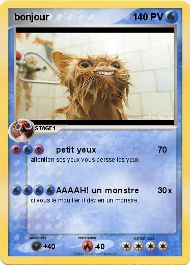 Pokemon bonjour