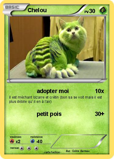 Pokemon Chelou