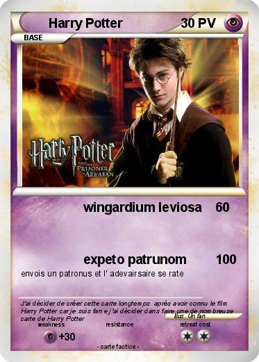 Pokemon Harry Potter