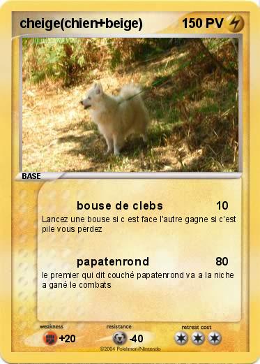 Pokemon cheige(chien+beige)