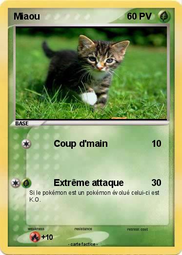 Pokemon Miaou