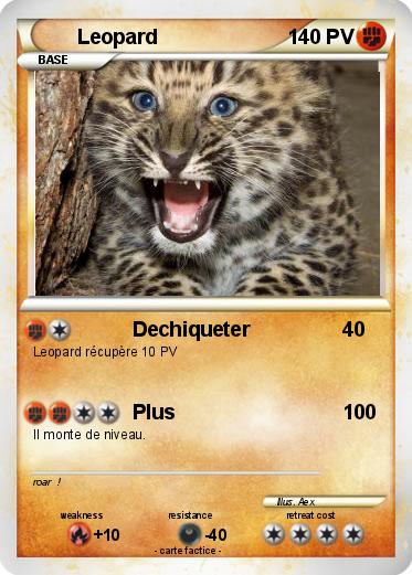 Pokemon Leopard