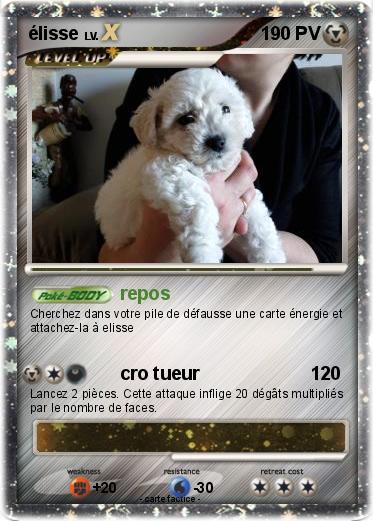 Pokemon élisse