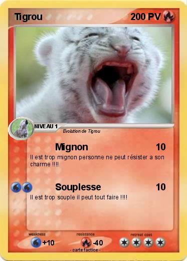 Pokemon Tigrou