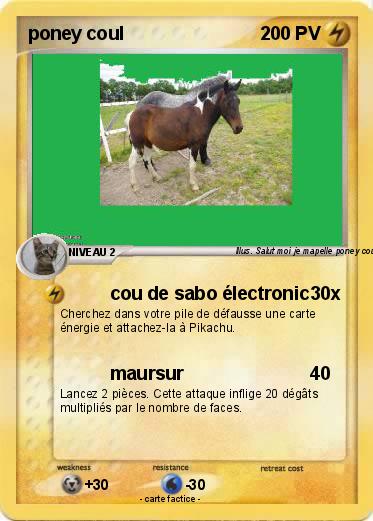 Pokemon poney coul