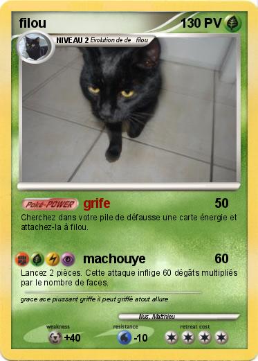 Pokemon filou