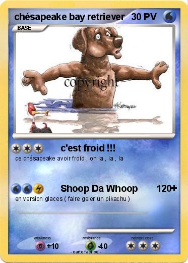 Pokemon chésapeake bay retriever
