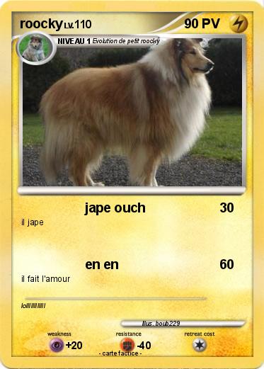 Pokemon roocky