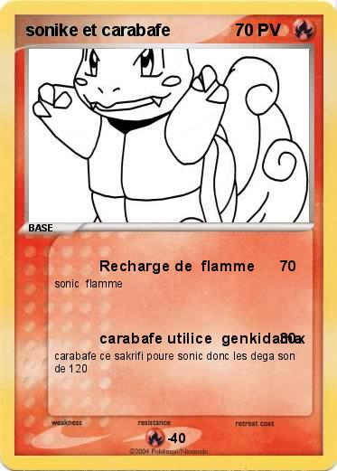 Pokemon sonike et carabafe