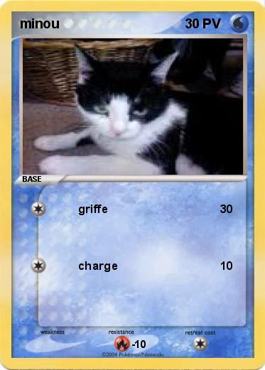Pokemon minou