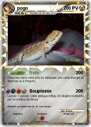 Pokemon pogo