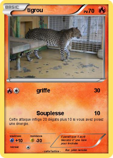 Pokemon tigrou