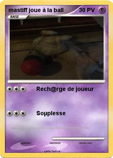 Pokemon mastiff joue à la ball