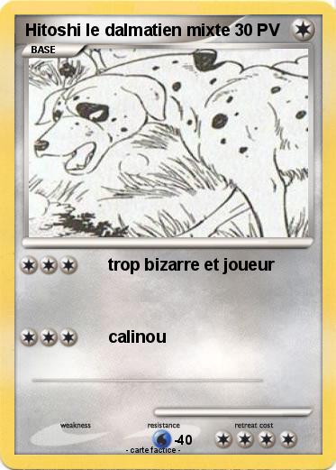 Pokemon Hitoshi le dalmatien mixte