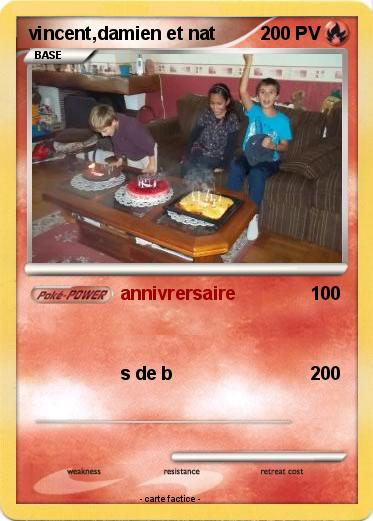 Pokemon vincent,damien et nat